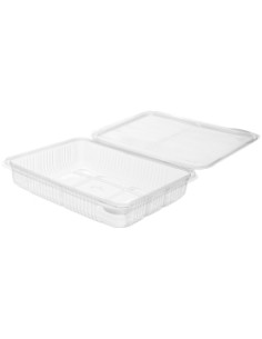 TARRINAS  CON TAPA BISAGRA