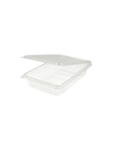 TARRINAS  CON TAPA BISAGRA 2